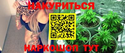 индика Апшеронск