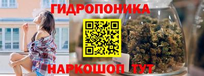 индика Апшеронск