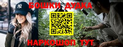 индика Апшеронск