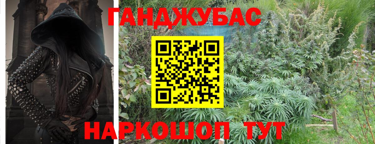 Бошки марихуана конопля Выборг